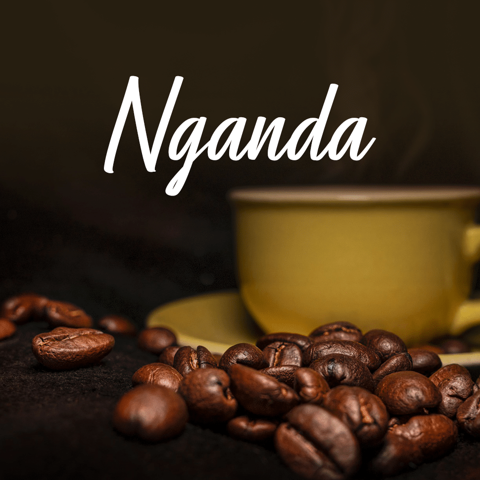 Nganda Coffee Guide - One of the 2 sub-varieties of Robusta