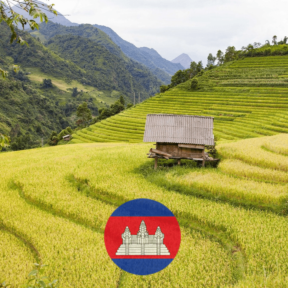 Coffee from Cambodia Why Should You Have A Sip?