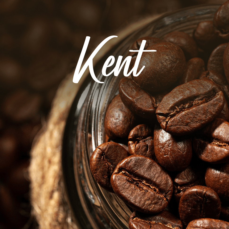 Kent coffee beans What are the best alternatives for you?