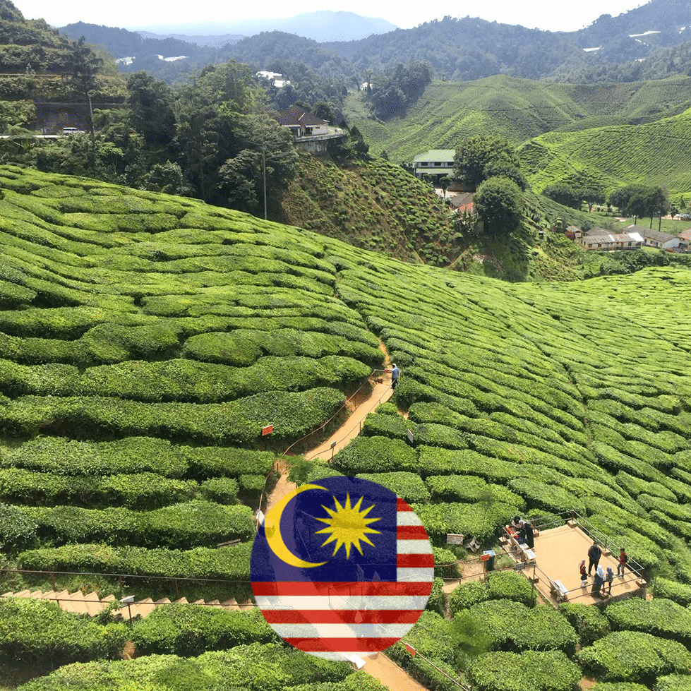 Malaysia Coffee Beans Where To Get The Best Products