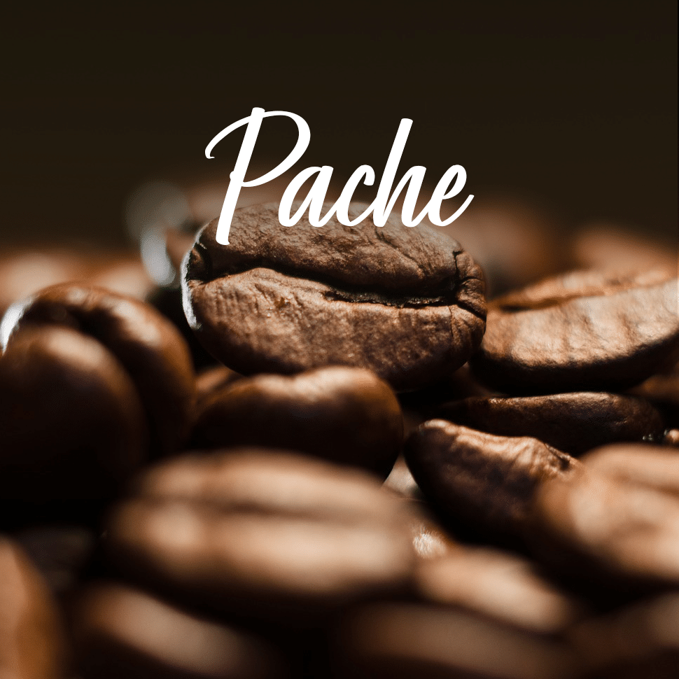 pache-coffee-beans-find-out-everything-you-need-to-know